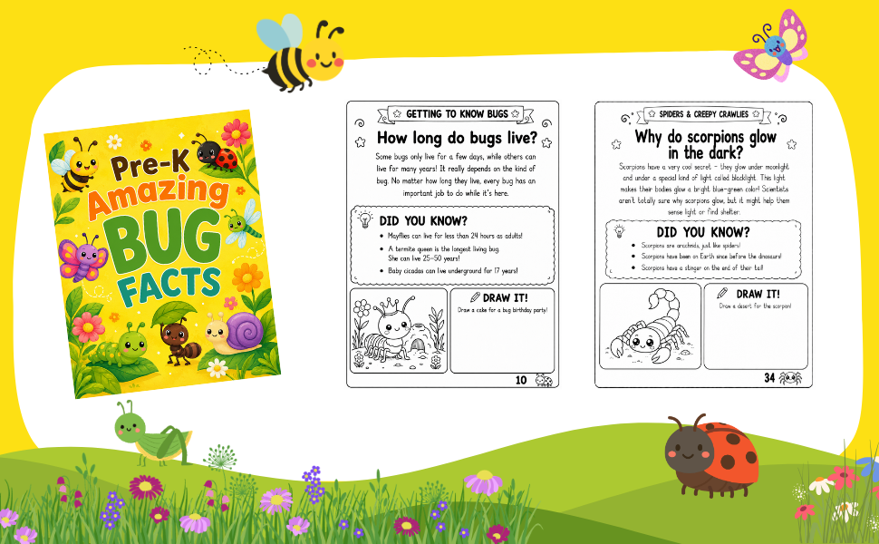 Pre-K Amazing Bug Facts