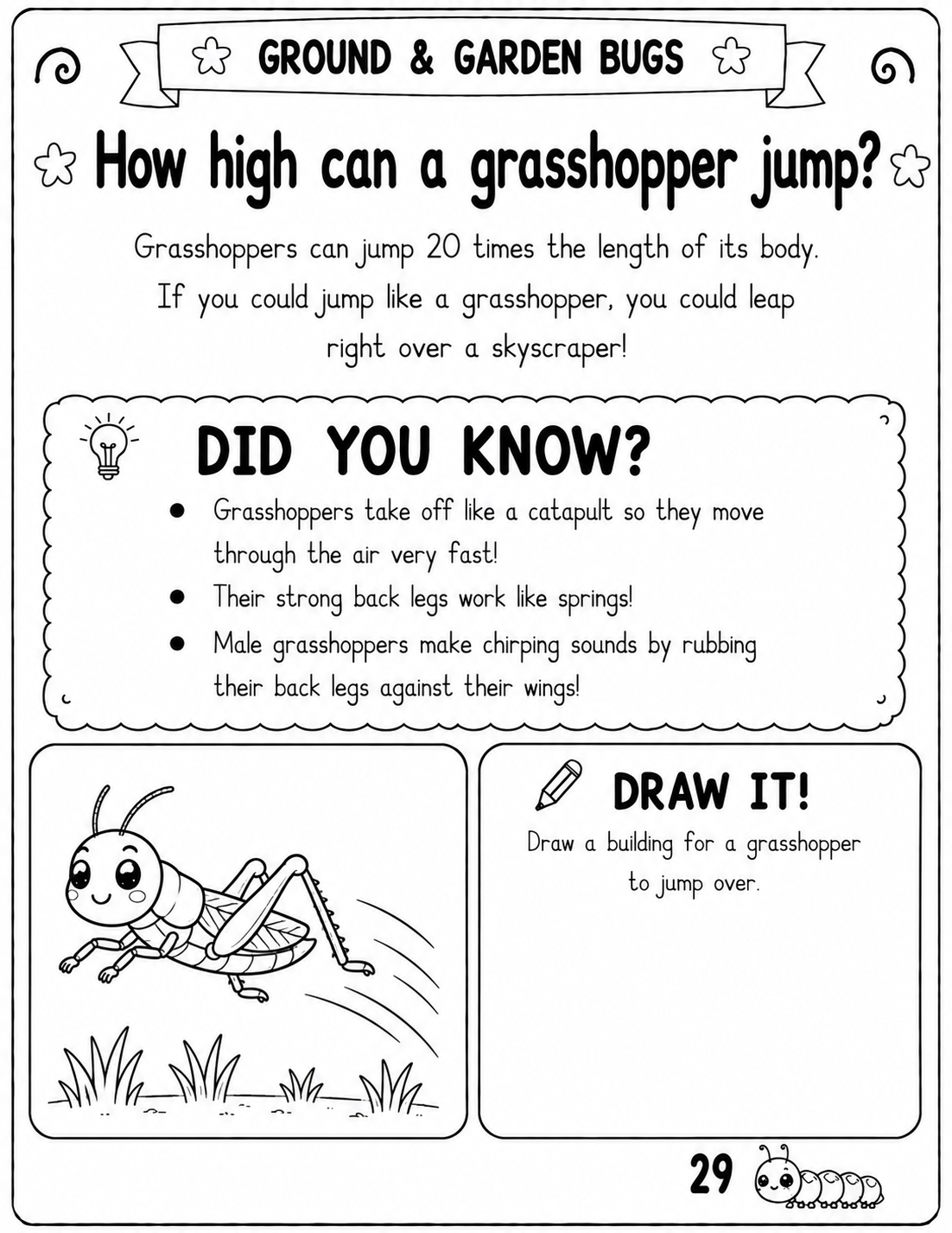 Pre-K Amazing Bug Facts